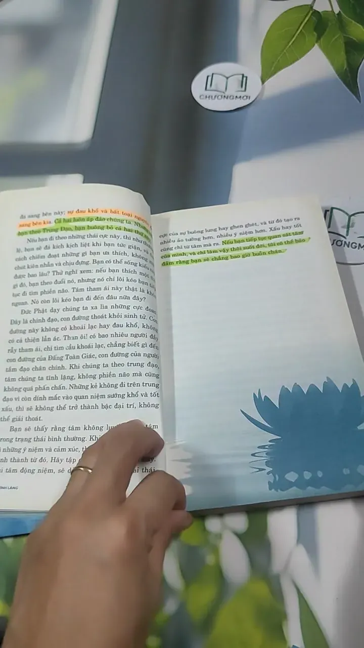 Tâm Tĩnh Lặng - Achaan Chah 727369