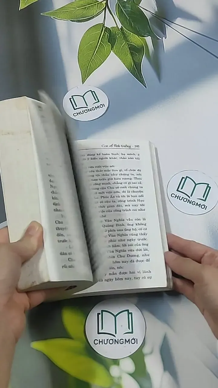 Con rể tỉnh trưởng - Phương Vỹ 695009