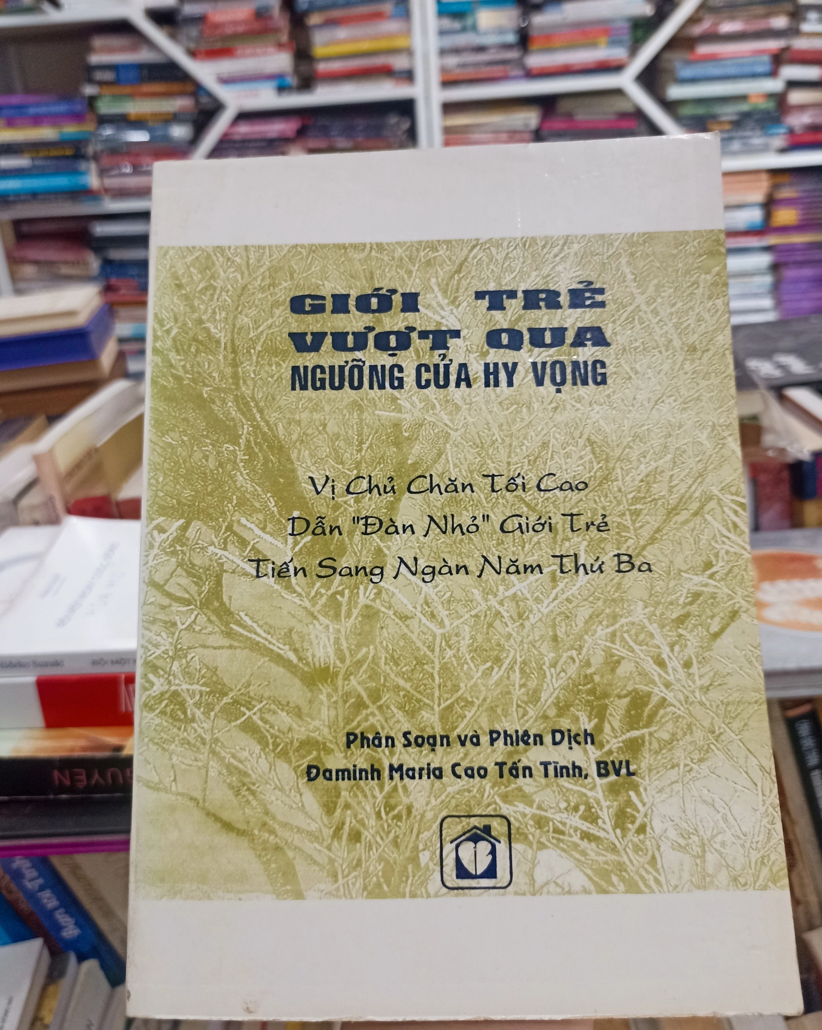 Giới trẻ vượt qua ngưỡng cửa hy vọng 🌻 by  - Sách Book Cover - Ngọc Hiển Books