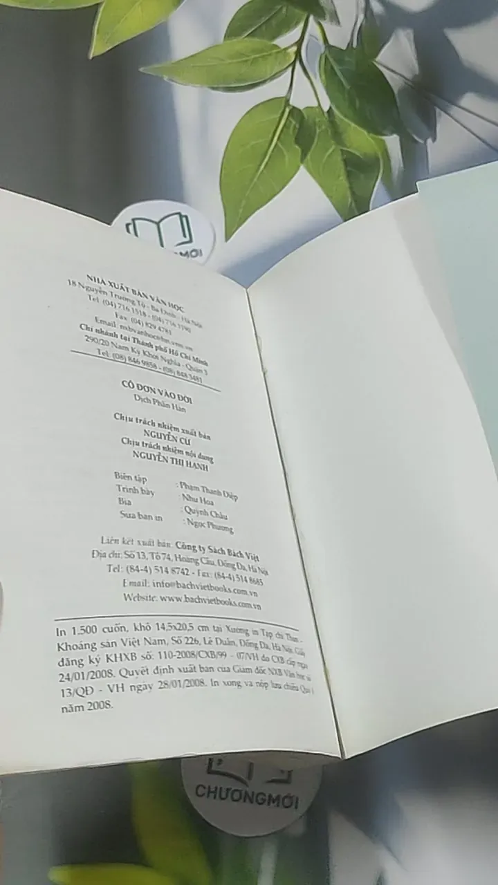 Cô đơn vào đời - Dịch Phấn Hàn 688643