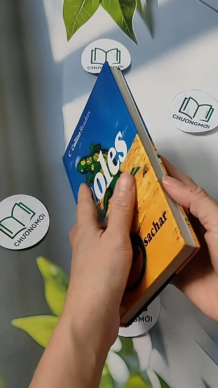 [MIỄN PHÍ BỌC SÁCH] Holes - Louis Sachar 703088