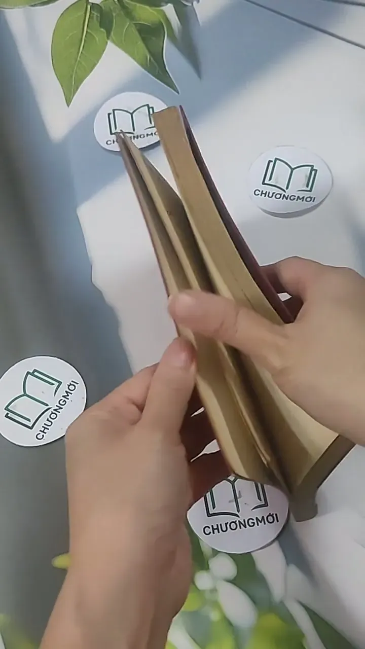 Ai Rồi Cũng Khác - Iris Cao & Hamlet Trương 705553