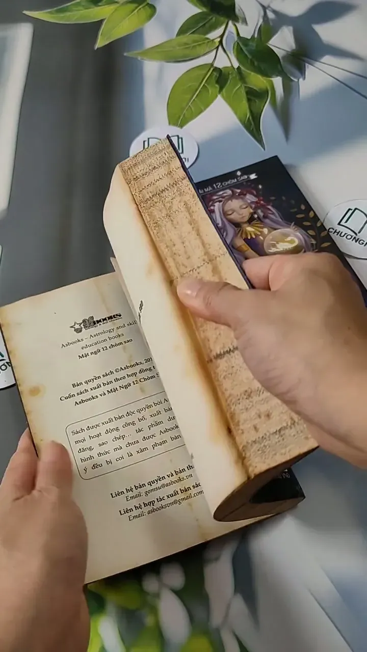 Combo: Khám Phá Tất Tần Tật Cung Thiên Yết 713792