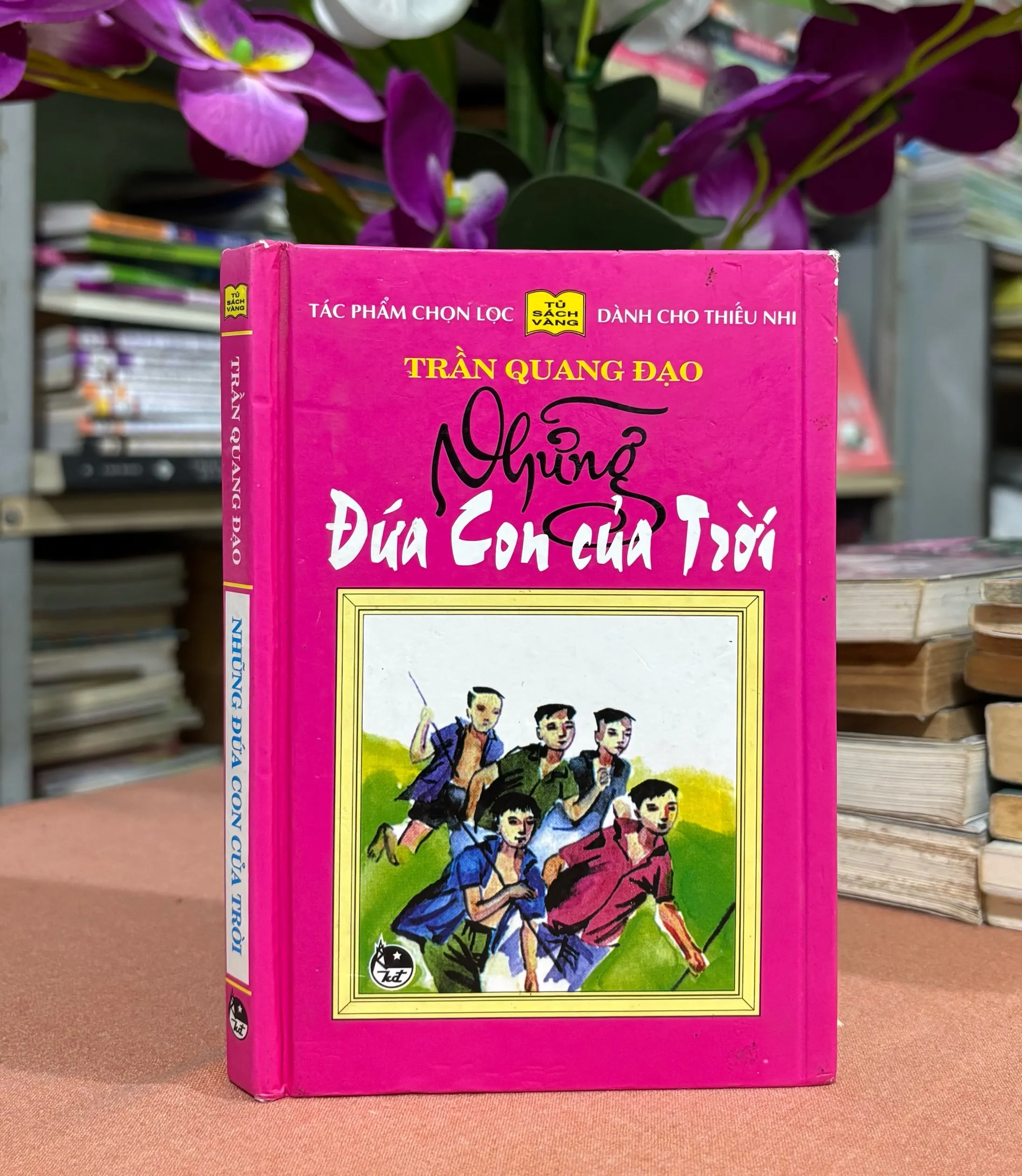 Những Đứa Con Của Trời 🌊 by Trần Quang Đạo - Sách Book Cover - Ngọc Hiển Books