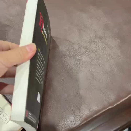 NHỮNG CÁI BÓNG – Tim Bowler- K4