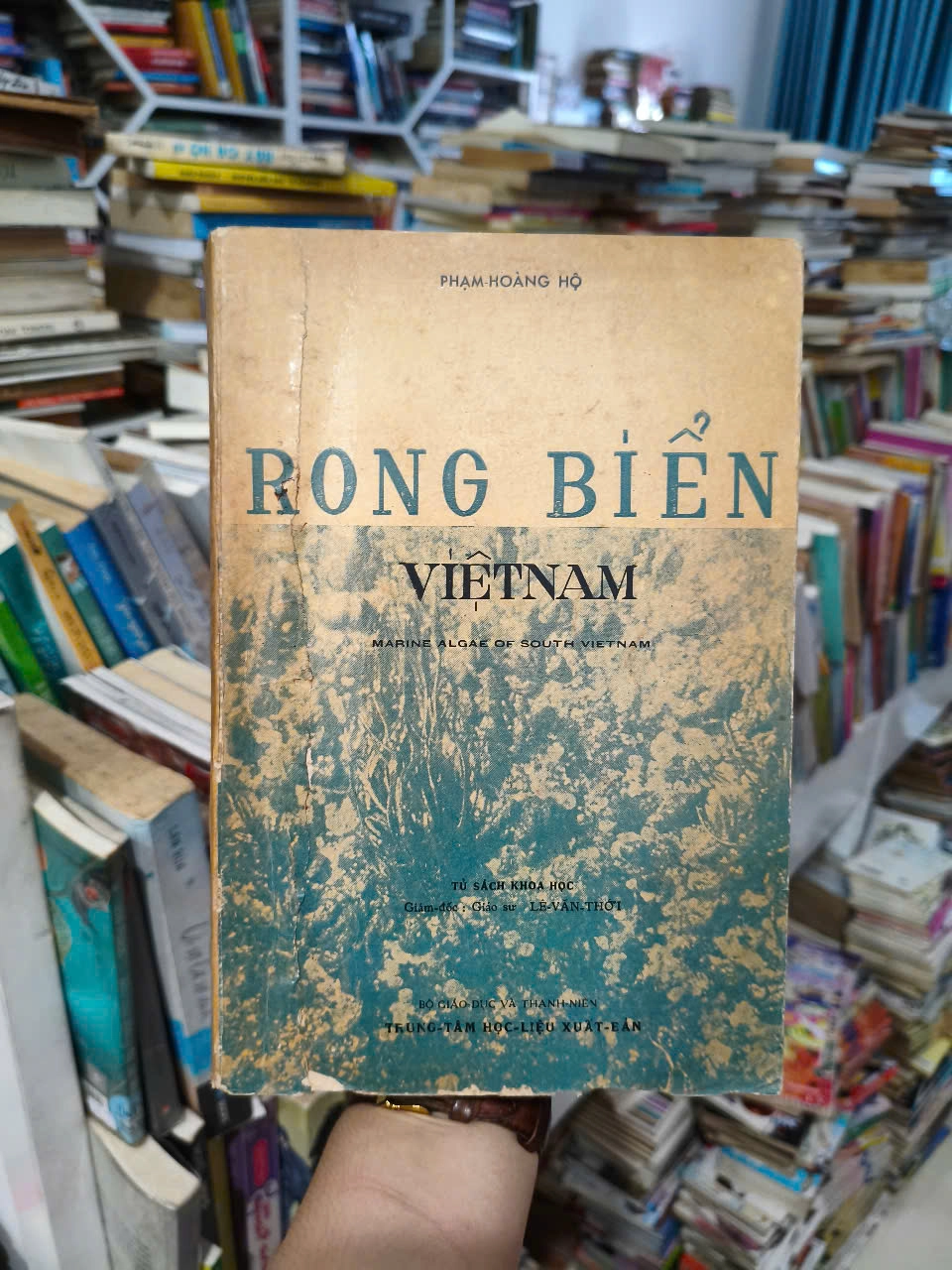 Rong Biển - Phạm Hoàng Lộ by Phạm Hoàng Hộ - Sách Book Cover - Ngọc Hiển Books