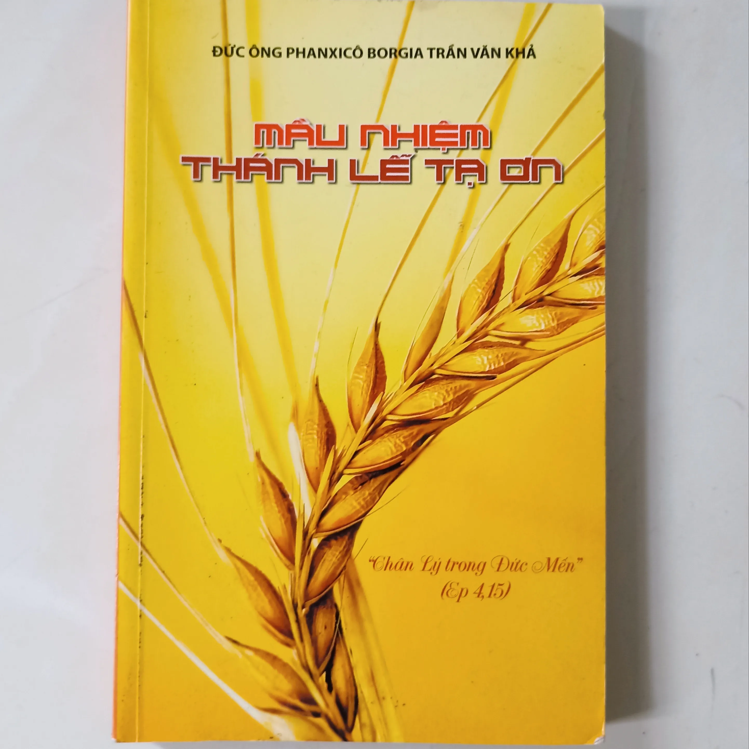 Mầu nhiệm thánh lễ tạ ơn 🌻 by  - Sách Book Cover - Ngọc Hiển Books