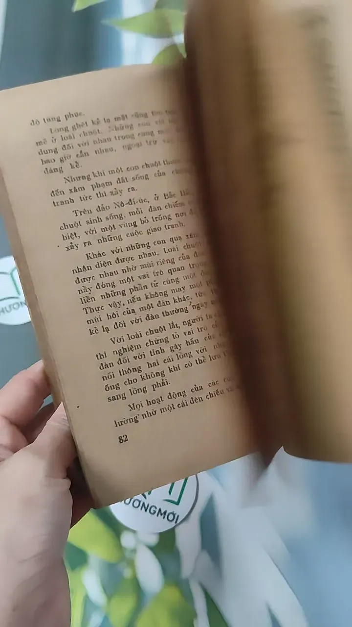 [XƯA] Tia Sáng Thần Kỳ (1986) 775975