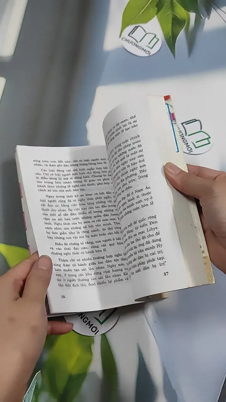 Dựng Vợ Gả Chồng - Hôn Lễ Và Nghi Thức - Phạm Côn Sơn 776172