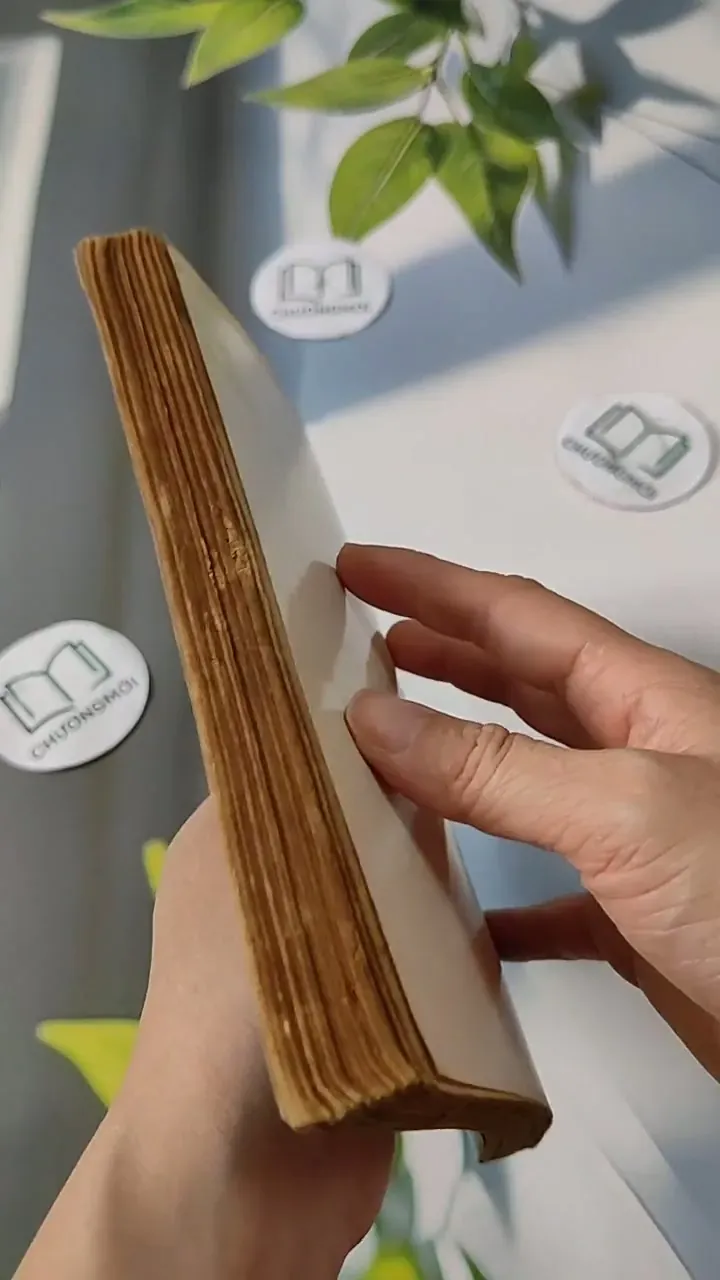 Những Người Đi Và Hai Người Ở Lại - Đinh Quang Nhã 713810