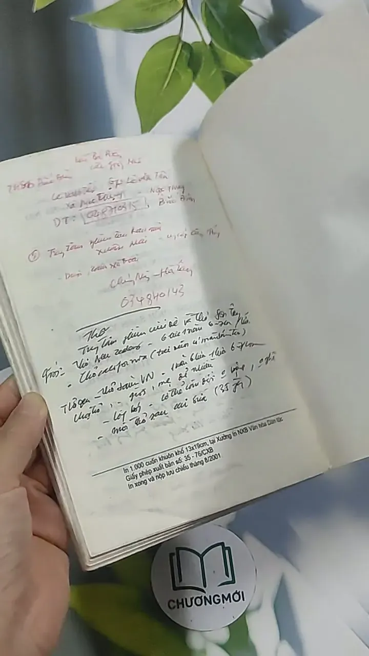 Love Story - Câu chuyện tình yêu - Song ngữ - Erich Segal 694998