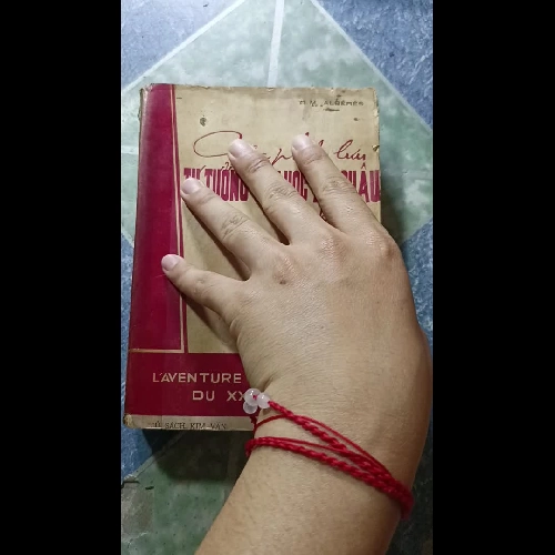 Tiểu thuyết hiện đại - Giáo sư đại học Columbia