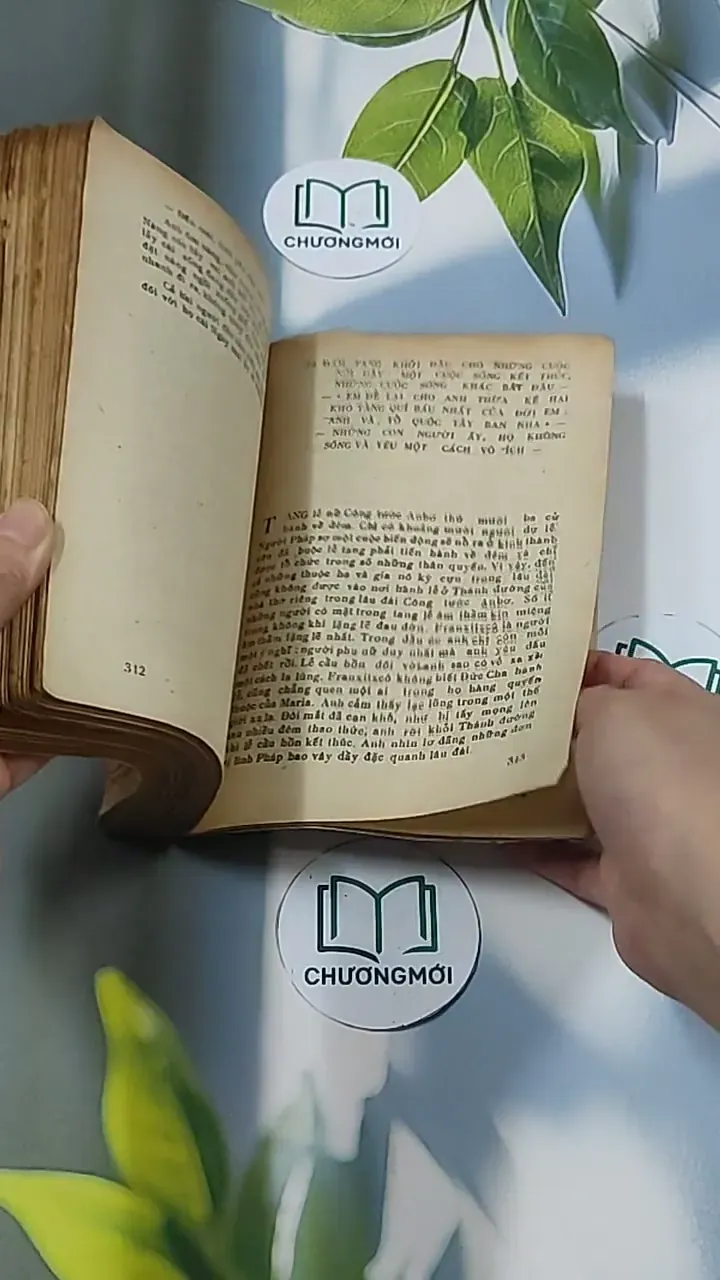 Bức Họa Maja Khỏa Thân (1986) - Samuel Edwards 674968