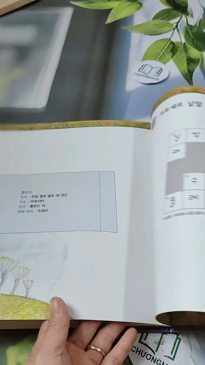 [Tặng nẹp góc] Truyện thiếu nhi Hàn Quốc: Moyamo Anu 47 -  모야모 아누와: 왕이 된 재봉사 732048