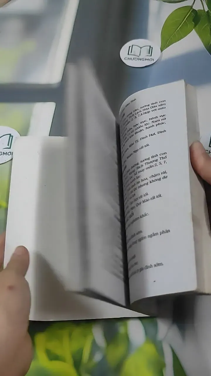 Vận Mệnh Tình Duyên Hôn Nhân Sự Nghiệp Tài Lộc Tính Cách Qua 12 Con Giáp Trọn Đời - Hà Th 727385