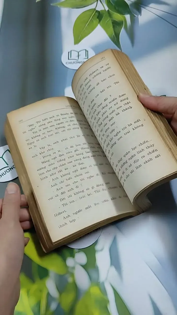 Gài Bẫy - Lynnerickson 713892