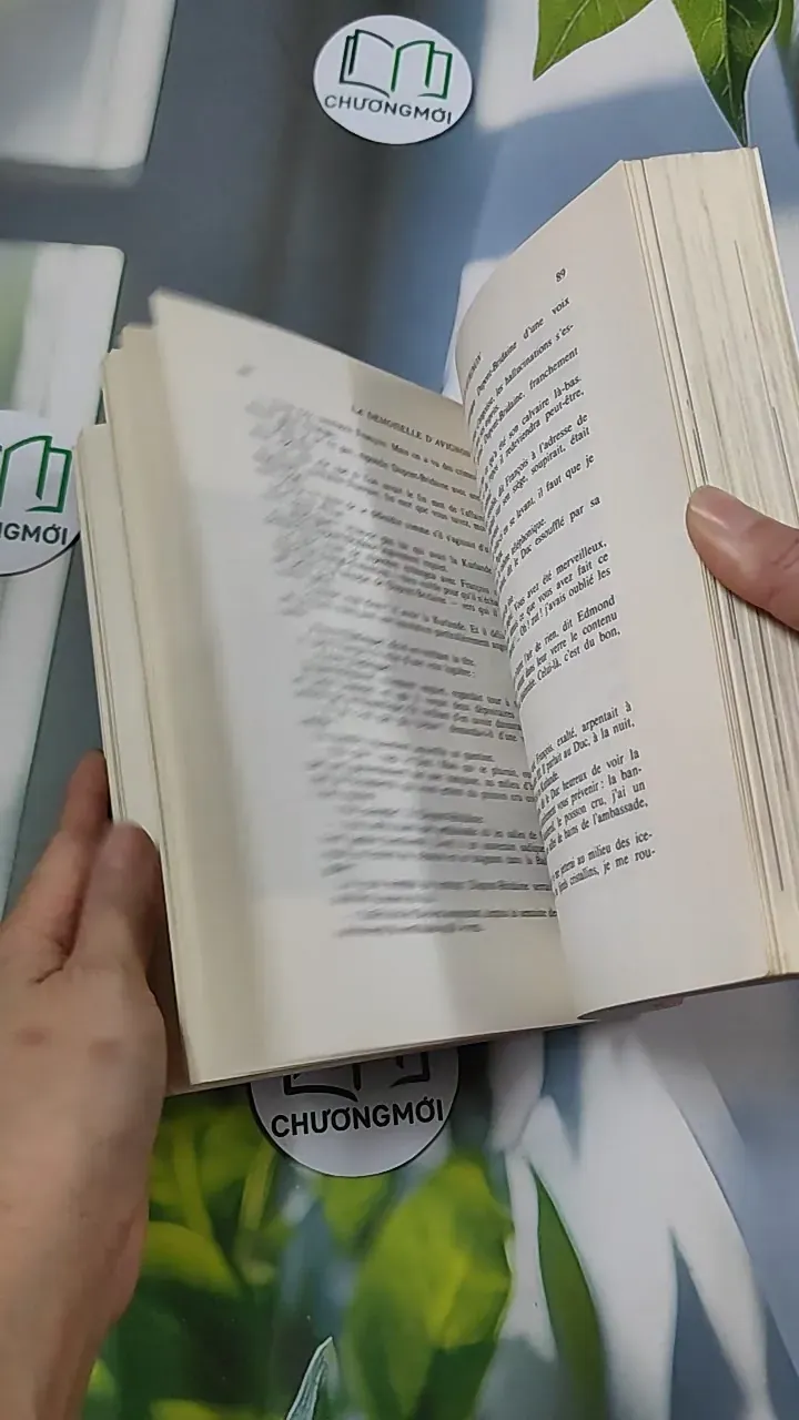 [MIỄN PHÍ BỌC SÁCH] [XƯA] La Demoiselle d'Avignon (1982) - Frédérique Hébrard & Louis Velle 754526