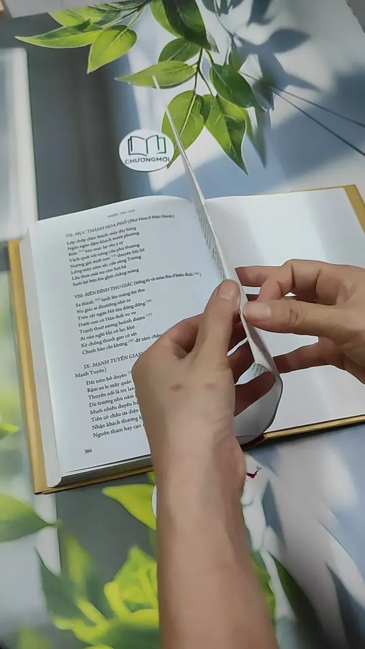 [MIỄN PHÍ BỌC SÁCH] Đinh Nho Hoàn: Thân Thế Và Sự Nghiệp - Hoàng Giáp 750797