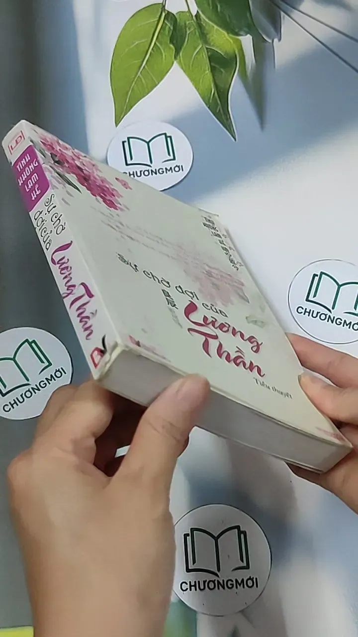 Sự chờ đợi của Lương Hằng - Tinh Không Lam Hề 688685