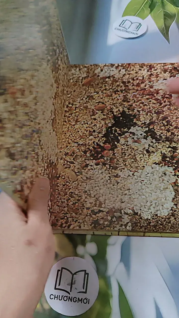 [Tặng nẹp góc] Truyện thiếu nhi Hàn Quốc: Moyamo Anu 56 -  모야모 아누와: 카멜레온에게 혼쭐난 아난시 732060