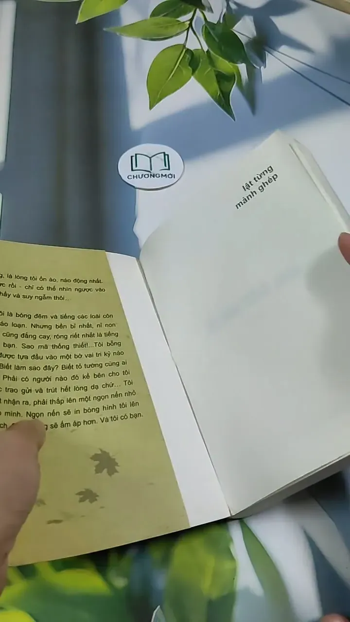 Lật Từng Mảnh Ghép - Trương Tuyết Mai 705691