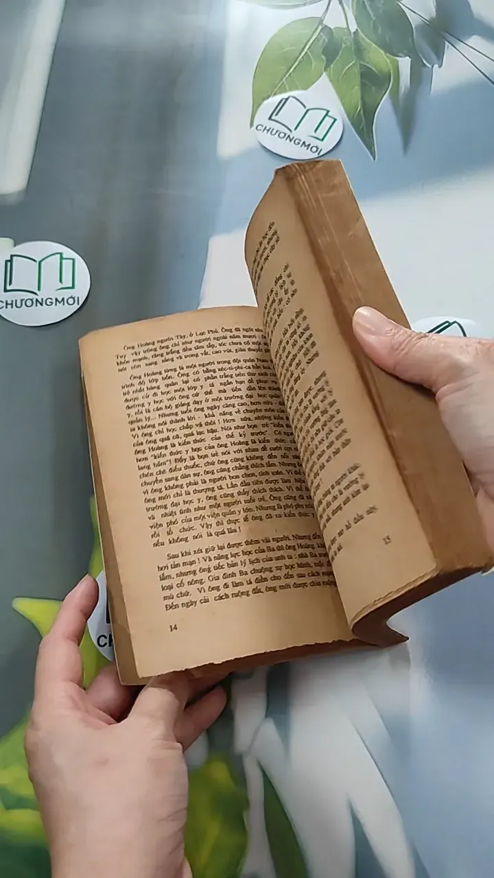 [XƯA] Người Trong Ống (1990) - Vi Hồng 776053