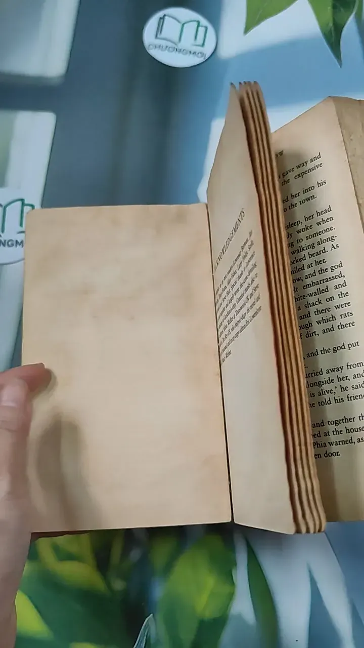 [MIỄN PHÍ BỌC SÁCH] [XƯA] Troy: Lord of the Silver Bow (1984) - David Gemmell 754500