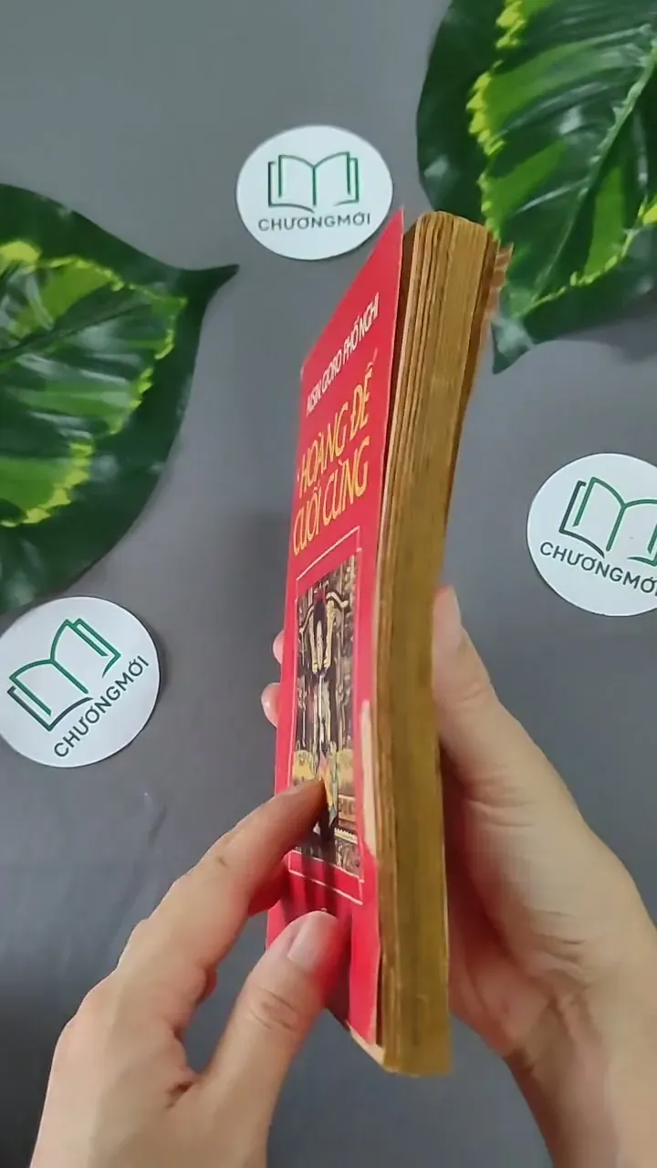 Hoàng Đế Cuối Cùng (1989) - Phổ Nghi 604644