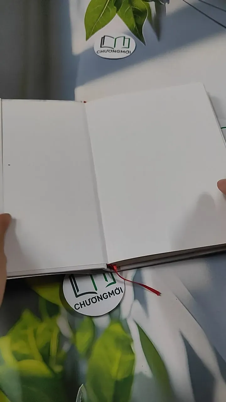 [MIỄN PHÍ BỌC SÁCH] Hành Trình Khắc Tên Mình Lên Đá - Diệu Thu 749593