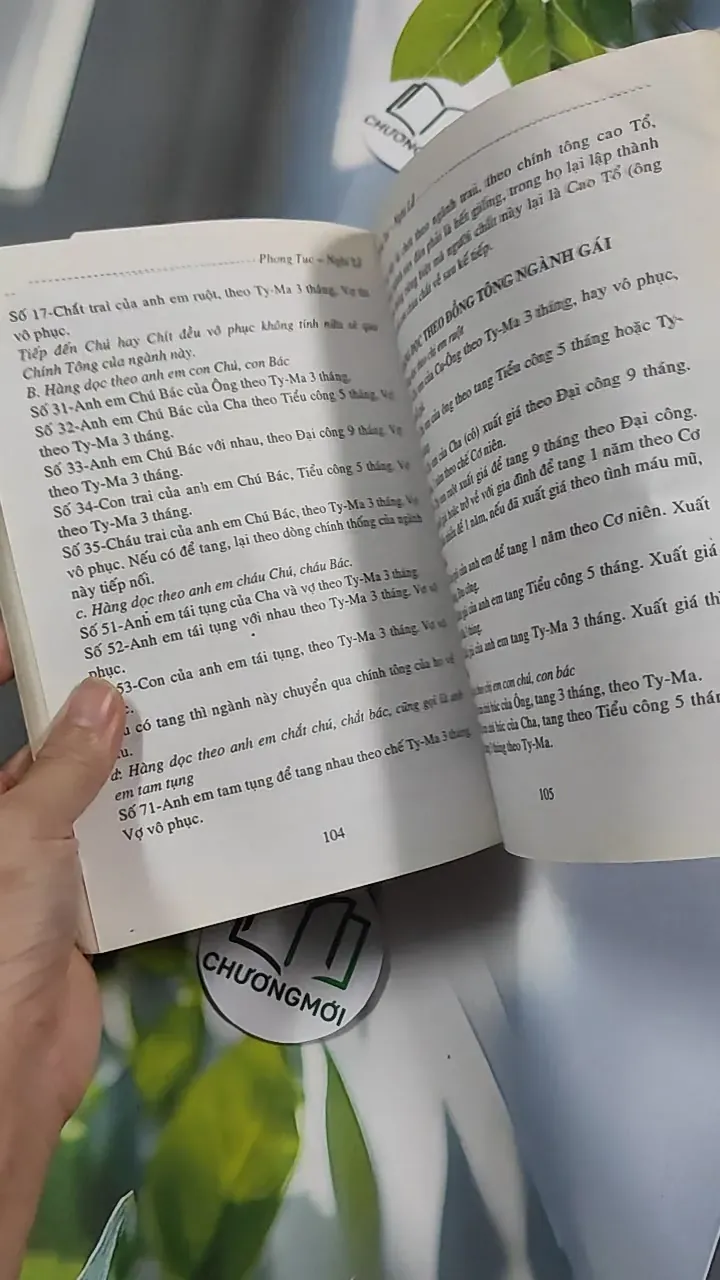 Phong Tục Nghi Lễ Thọ Mai Gia Lễ - Nguyên Quân - Hoàng Long 776189