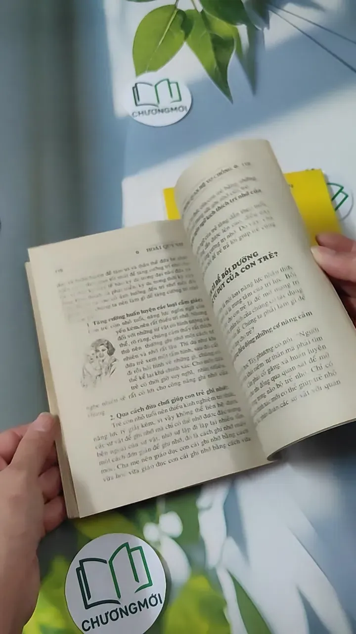 Combo Đời Sống Xã Hội Và Quan Hệ Vợ Chồng - Hoài Quỳnh & Trần Bồng Sơn 780844