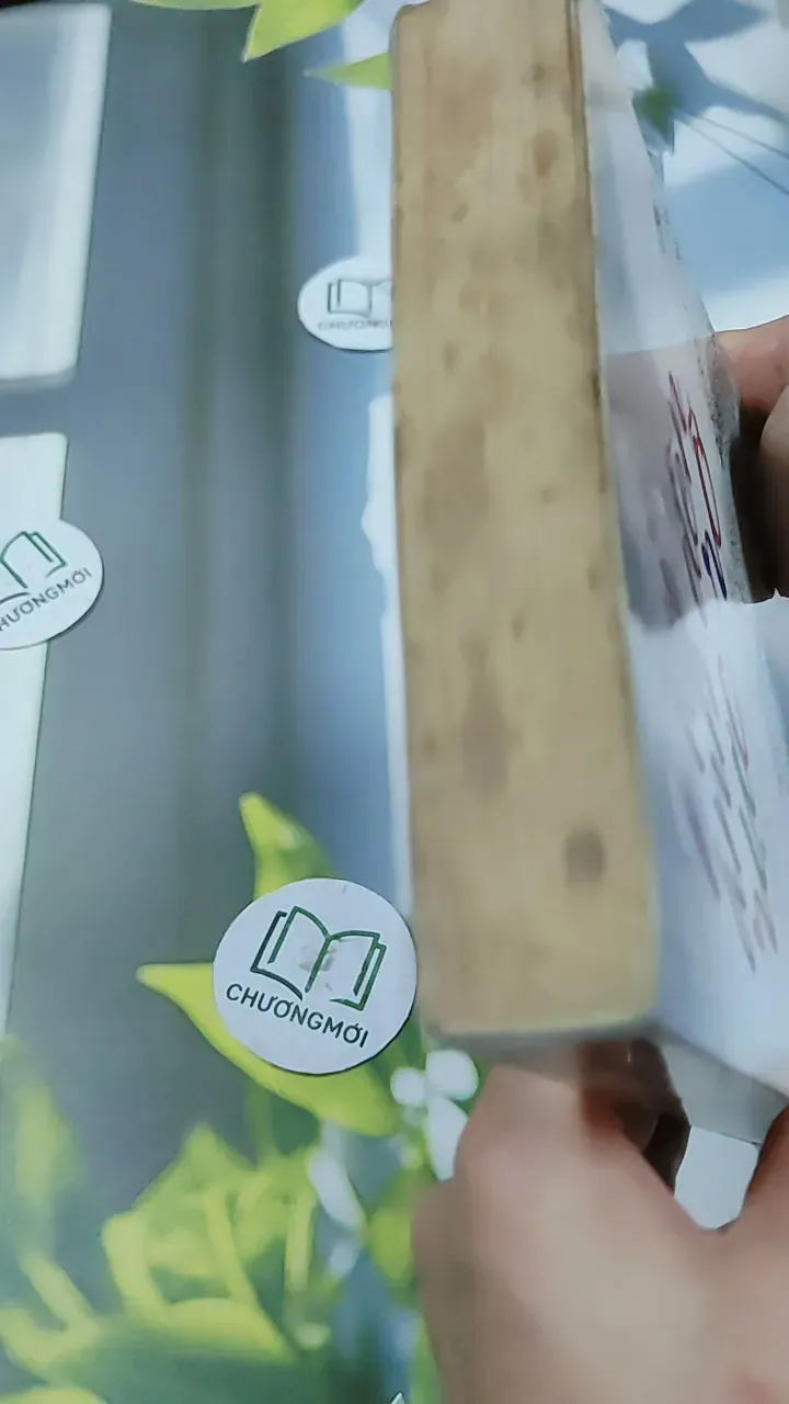 Nơi Ánh Đèn Rực Rỡ - Thanh Sam Lạc Thác 744762