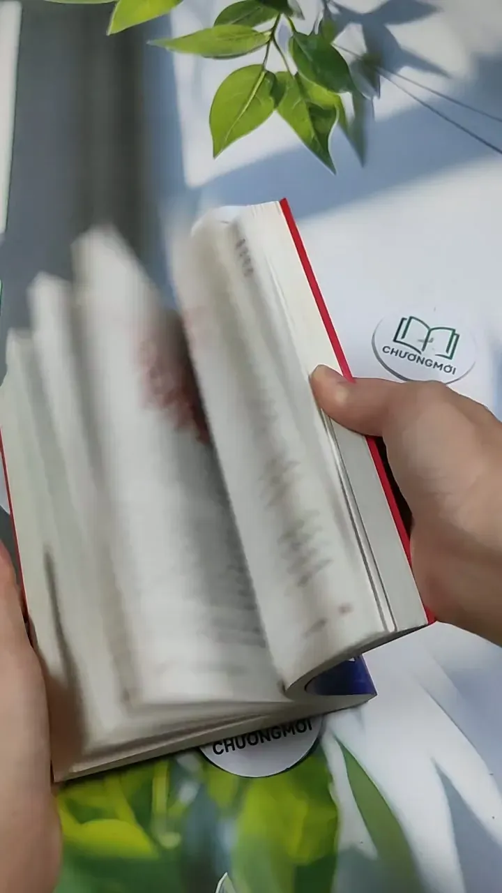 Những Câu Bé Trổ Tài 705677