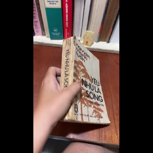 II Tiểu Thuyết: Yêu Như Là Sống - Nguyễn Mạnh Tuấn - 1988