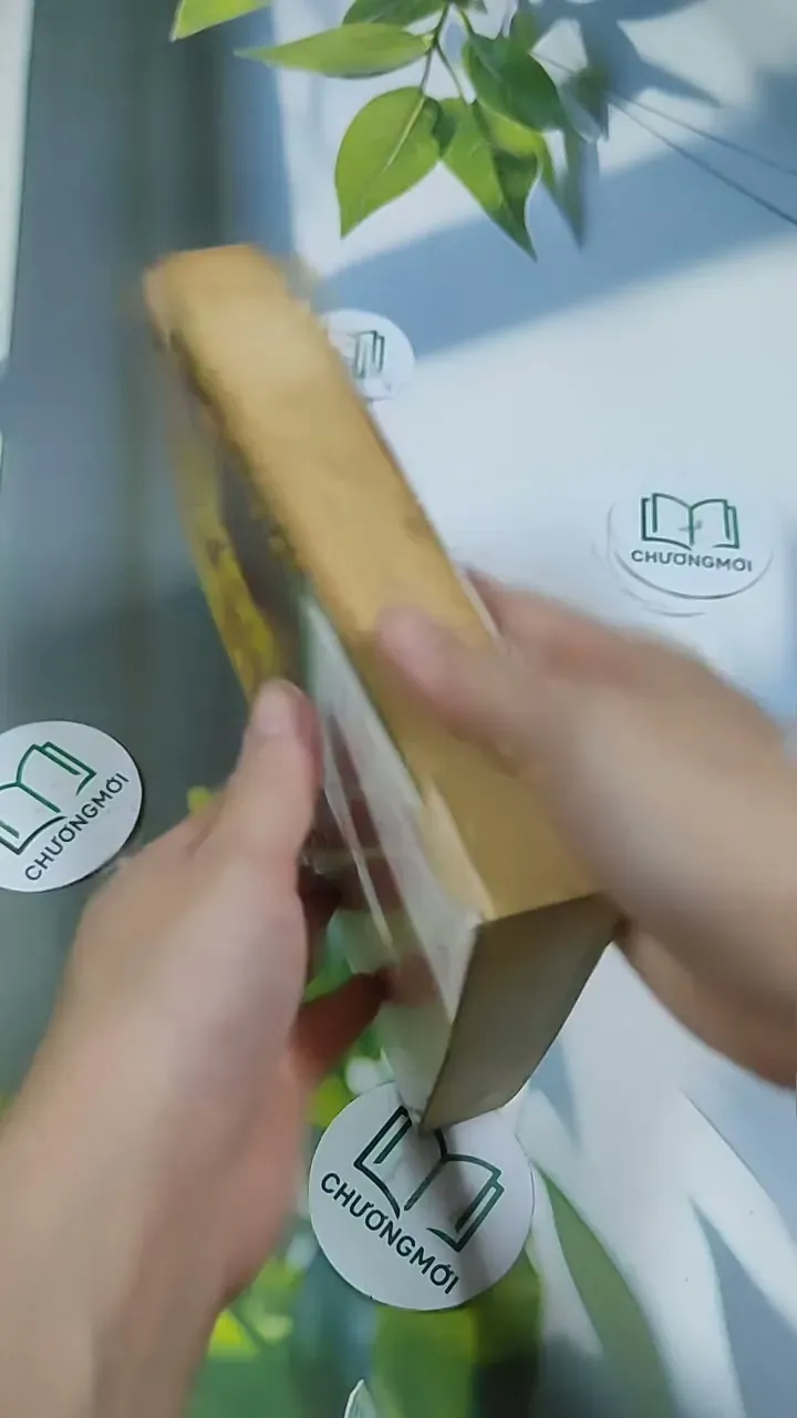 Hoa Nở Giữa Tháng Năm Cô Đơn - Sênh Lý 705743