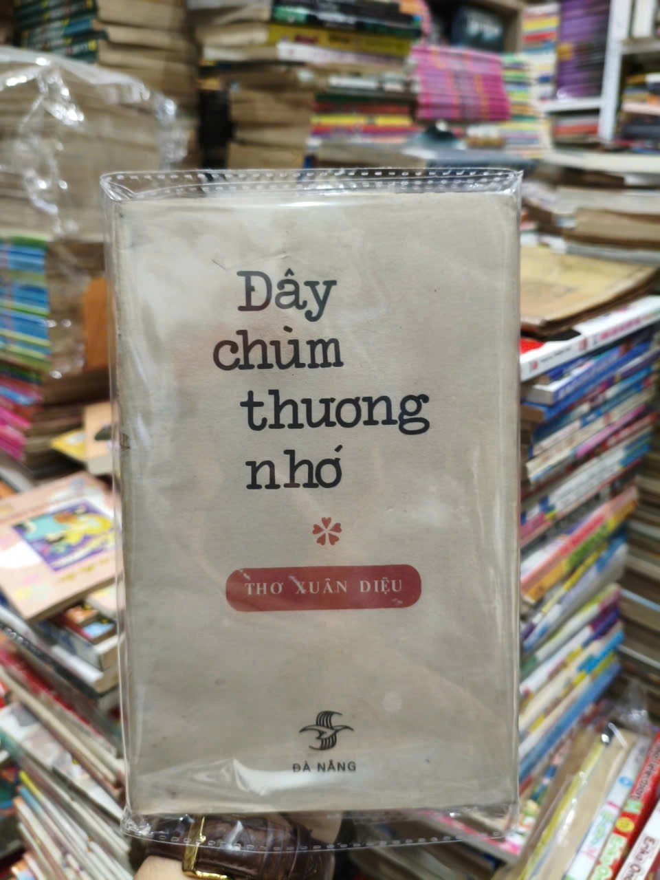 Đây Chùm Thương Nhớ