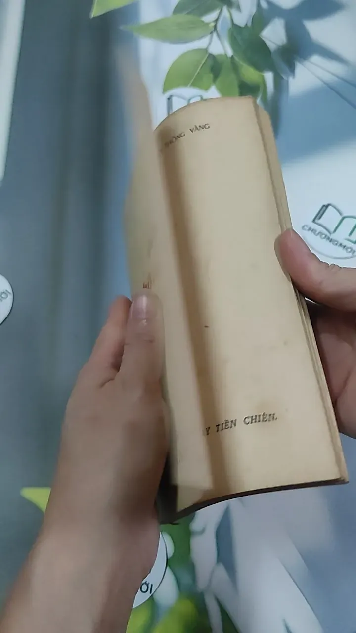 [MIỄN PHÍ BỌC SÁCH] [XƯA] Phấn Thông Vàng (1968) - Xuân Diệu 776042