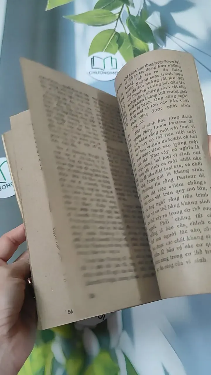 [XƯA] Tạp Chí Khoa Học - Đời Sống: Tình Đất Đỏ (1984) 775998