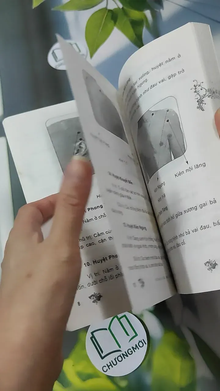 Mát Xa Chữa Bệnh Tại Nhà: Mát Xa Cổ - Thuý Hà 780914