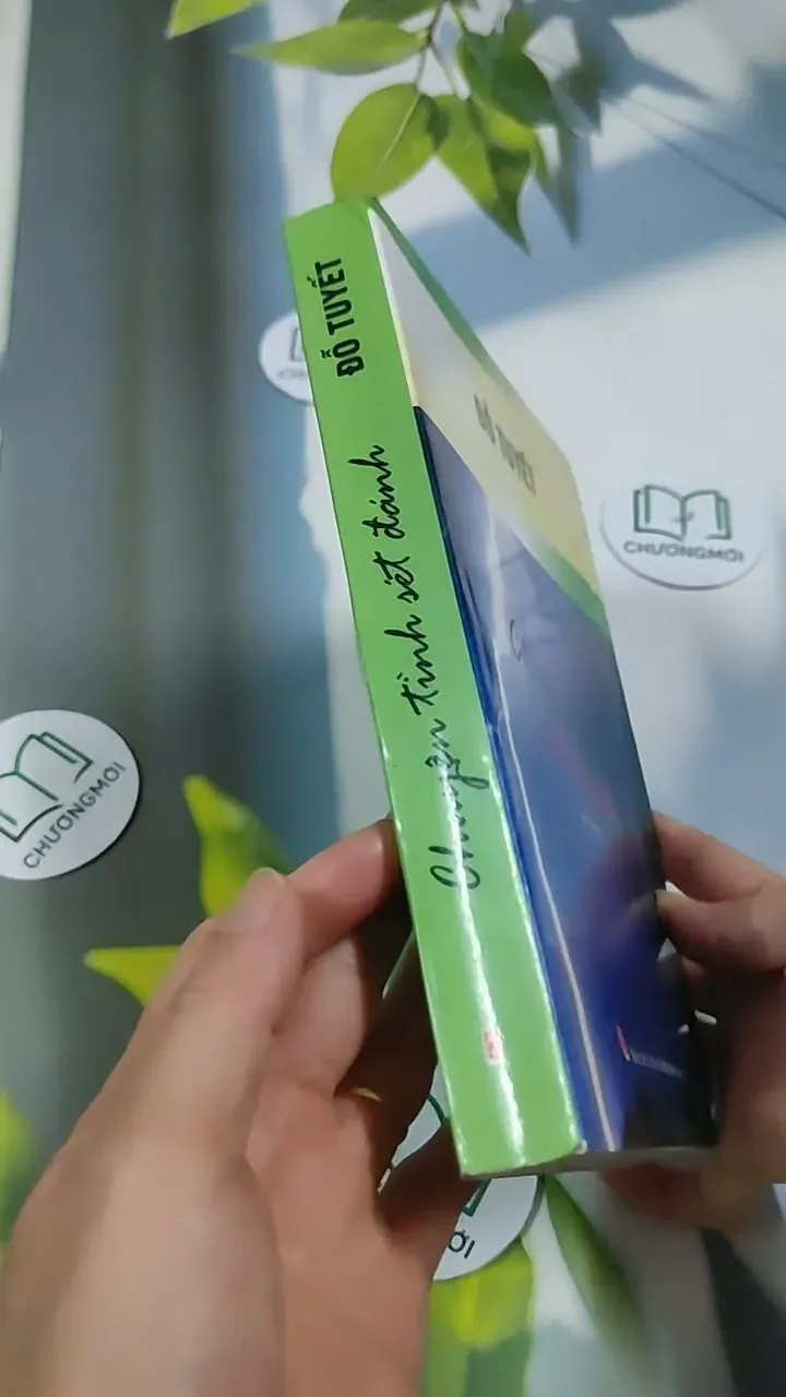 Chuyện Tình Sét Đánh - Đỗ Tuyết 705741