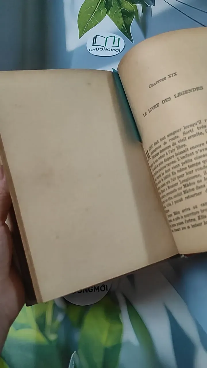 [MIỄN PHÍ BỌC SÁCH] En mission chez les bêtes - Pâquerette de Quénetain 749582