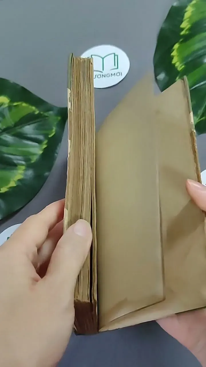 Trà Hoa Nữ 604659