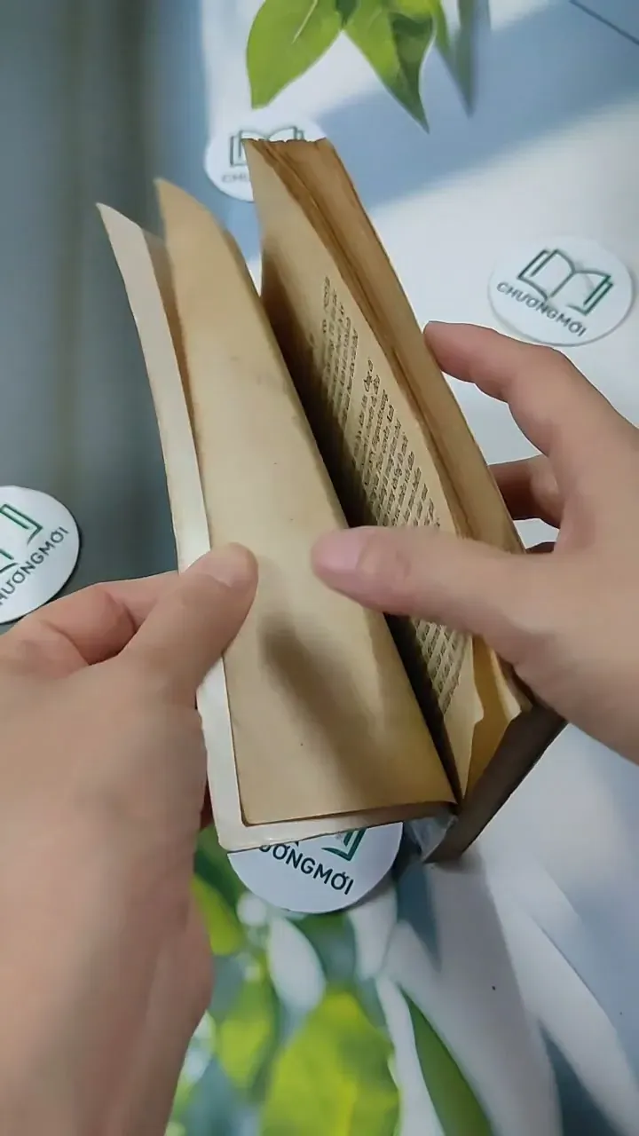 Nàng Macgaret Xinh Đẹp - Henry Rider Hagard 713839