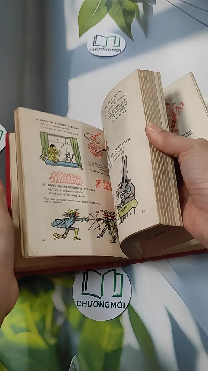 [MIỄN PHÍ BỌC SÁCH] A Book of Russian Idioms Illustrated - M.I. Dubrovin 749568