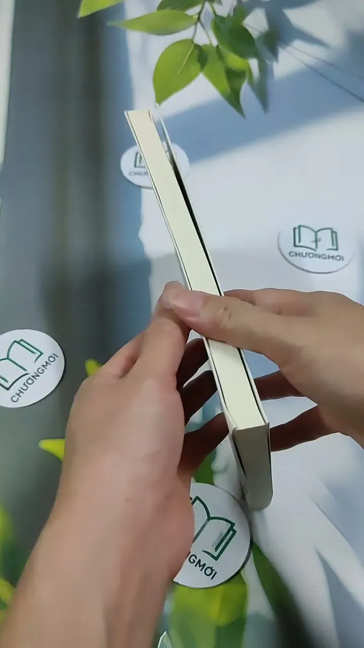 Việt Nam Của Tôi - Những Câu Chuyện Nhận Con Nuôi 705739