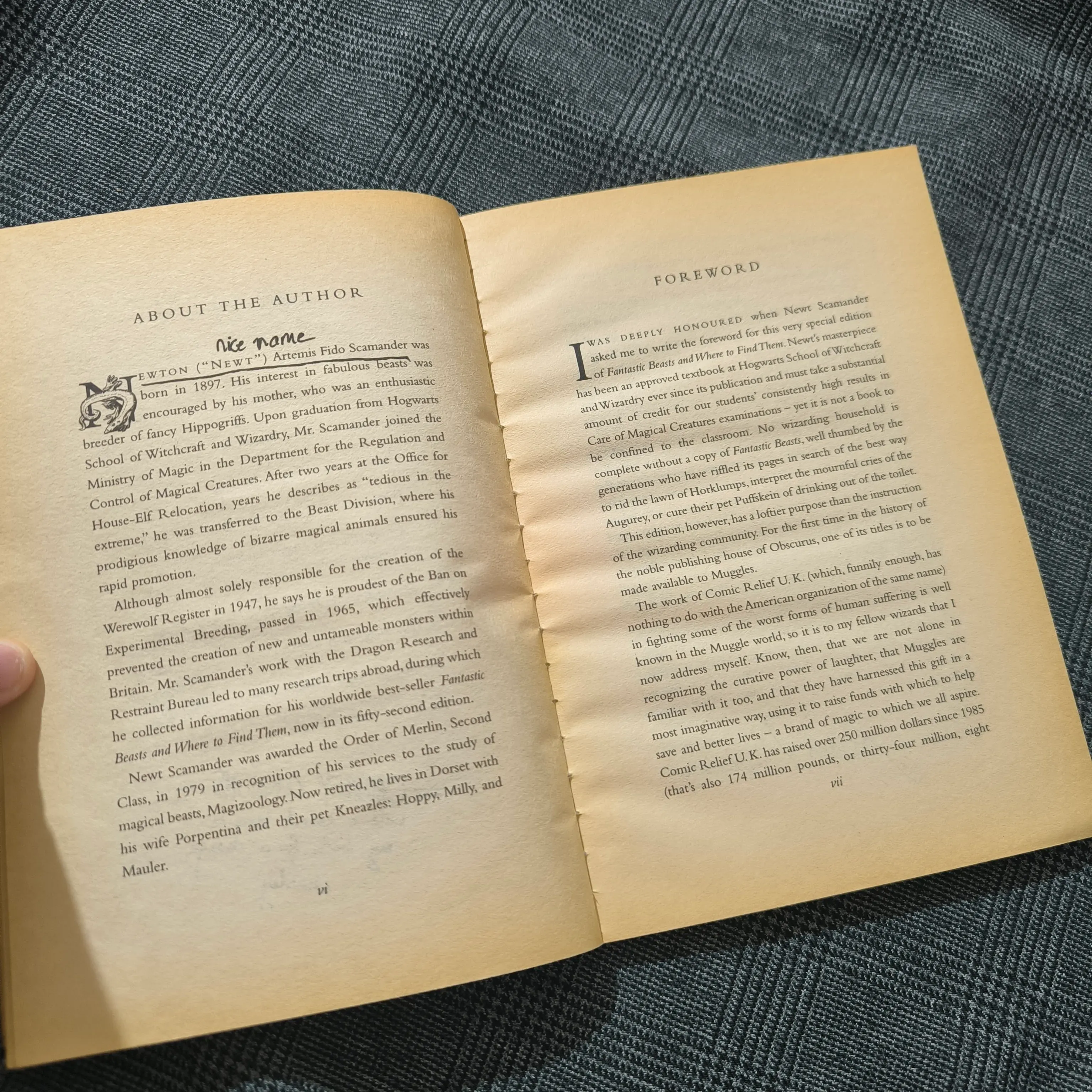 (Harry Potter) Fantastic Beasts & Where to find them - Newt Scamander 1005100