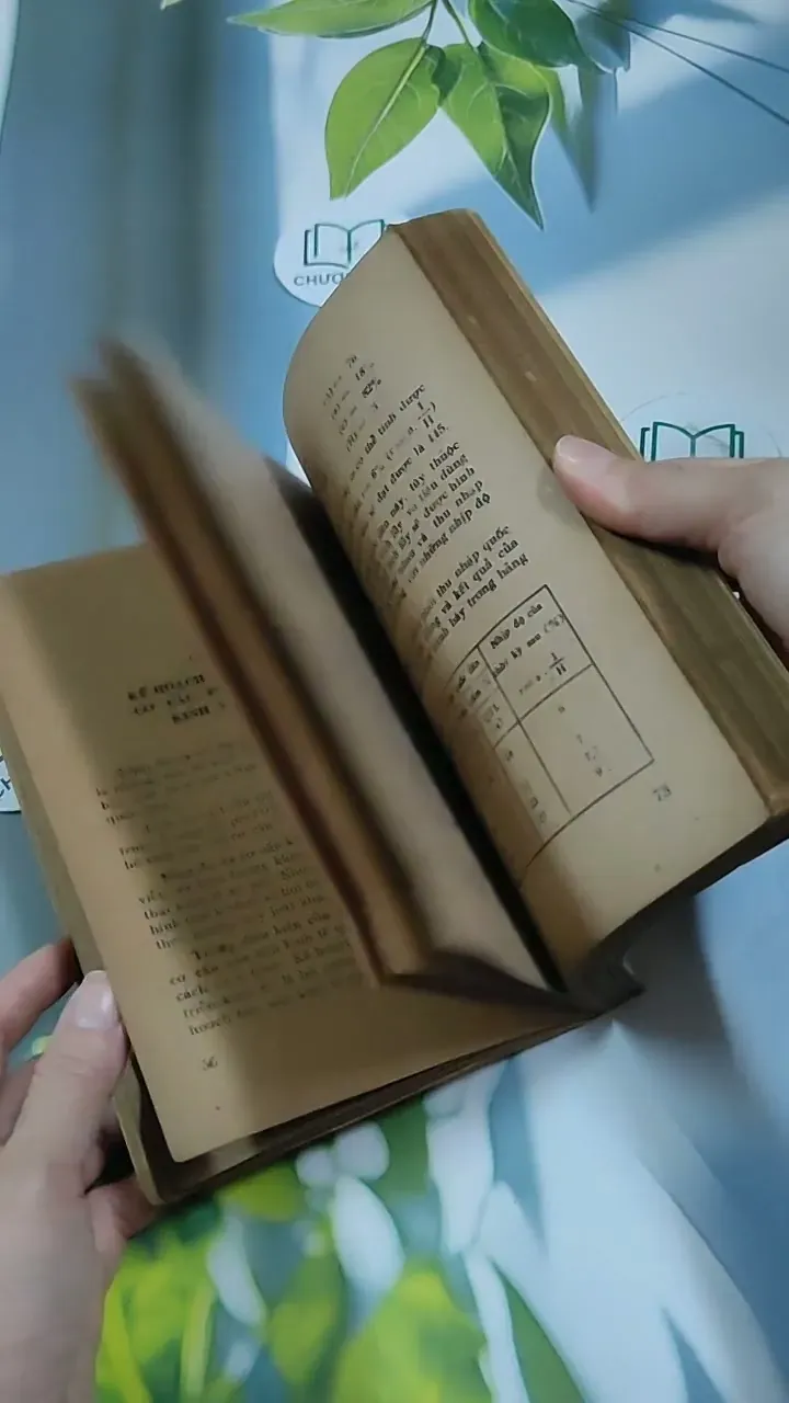 Kế Hoạch Hóa Kinh Tế Quốc Dân - Du Lô Giang 713884