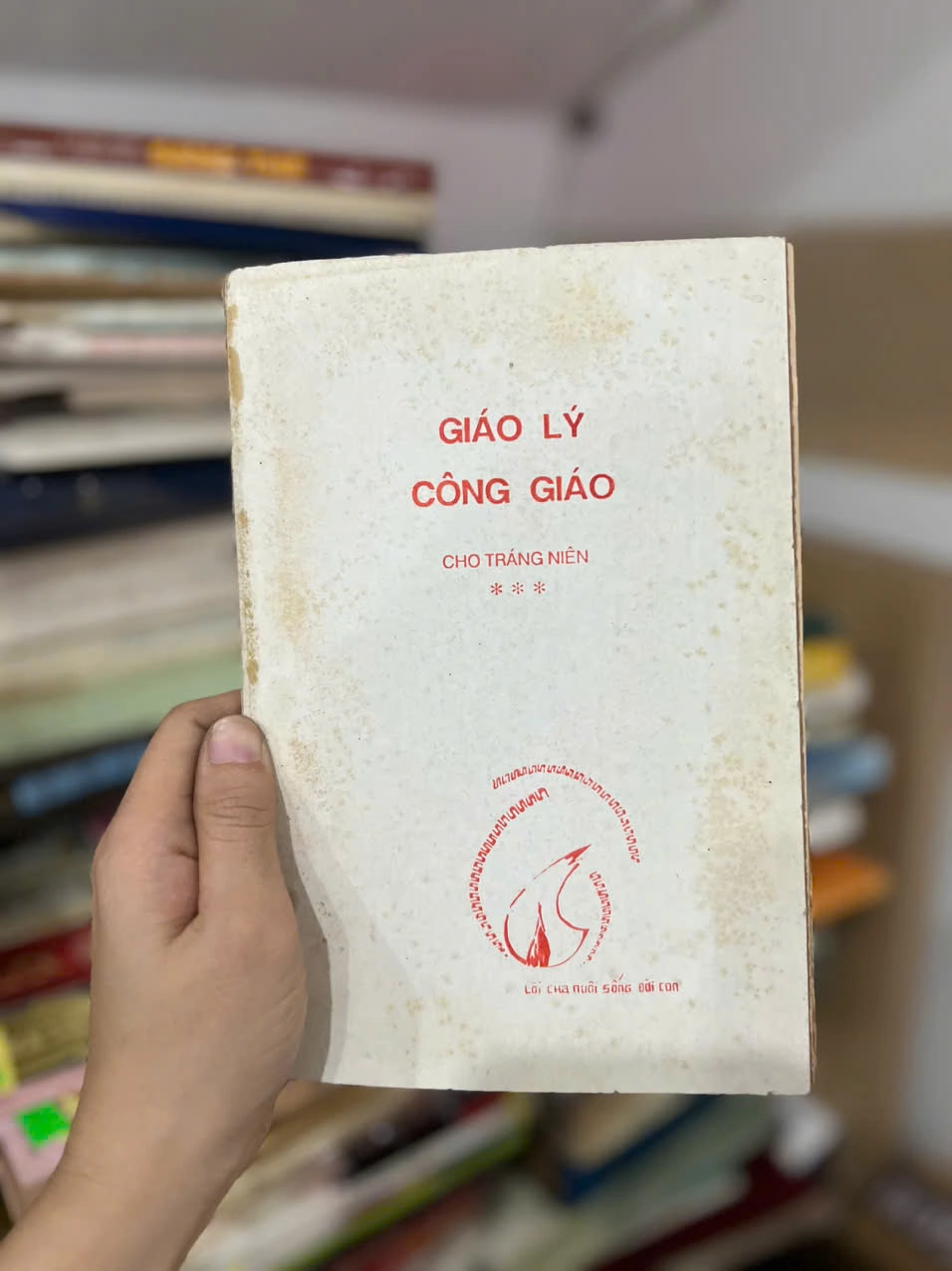 Giáo Lý Công Giáo Cho Tráng Niên by  - Sách Book Cover - Ngọc Hiển Books