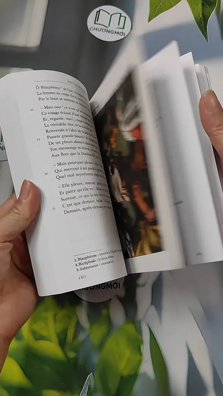 Les Fleurs du mal - Charles Baudelaire 754503