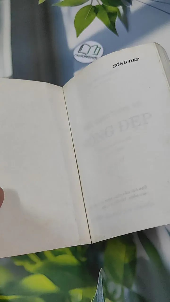 [MIỄN PHÍ BỌC SÁCH] [XƯA] Sống Đẹp (1999) - Lâm Ngữ Đường 787057